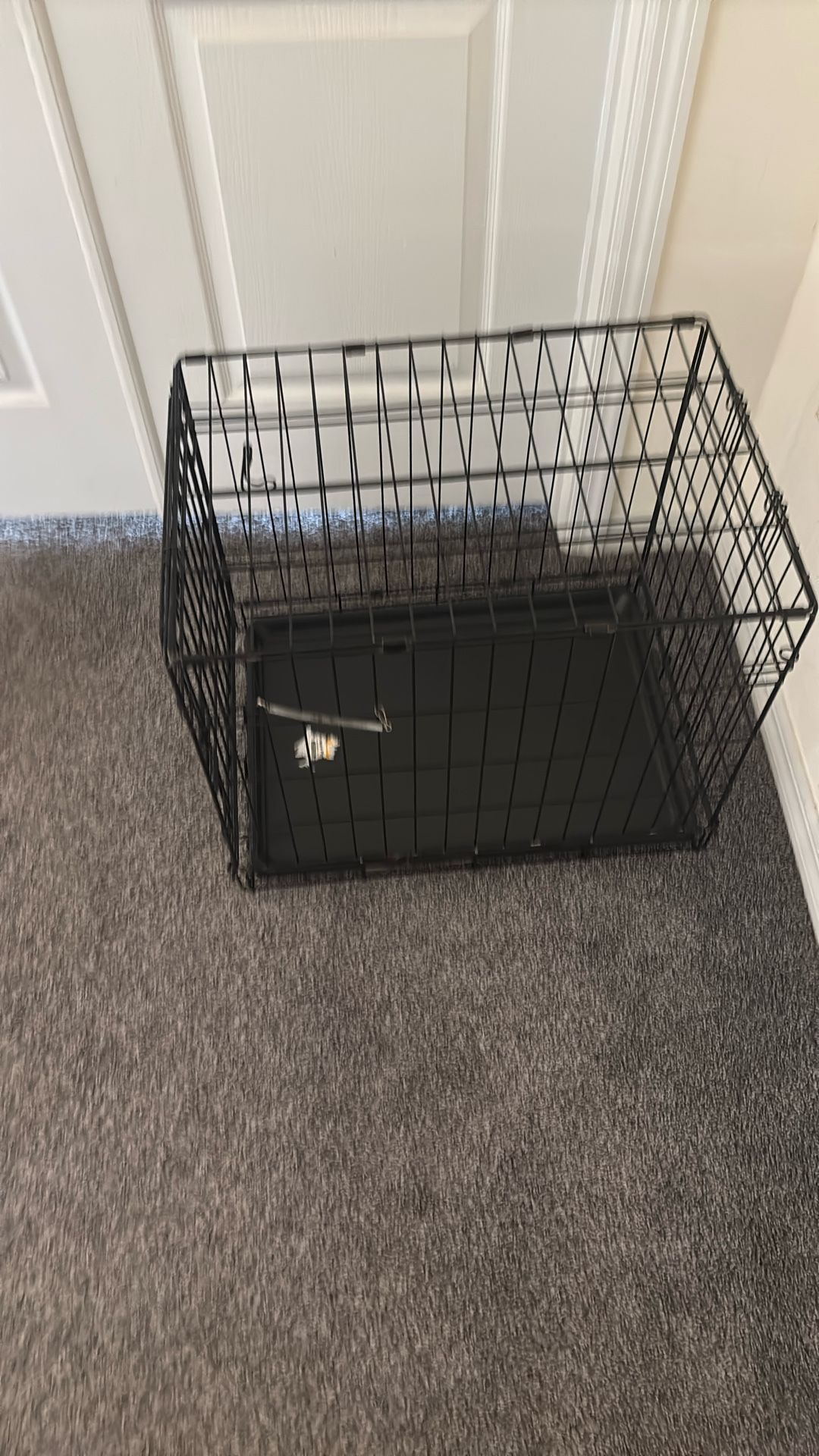 Small Dog Crate 