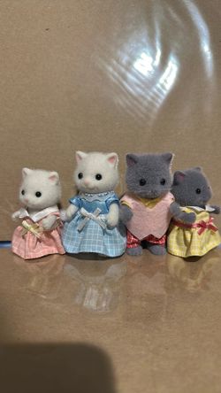 Calico Cat Family