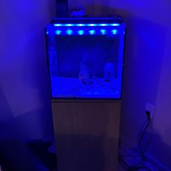Saltwater Tank
