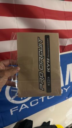 Pro circuit KYB fork decals