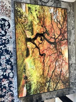 Autumn Tree Painting!