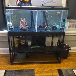 75 Gallon Tank Setup