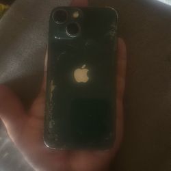 iPhone Mini13 