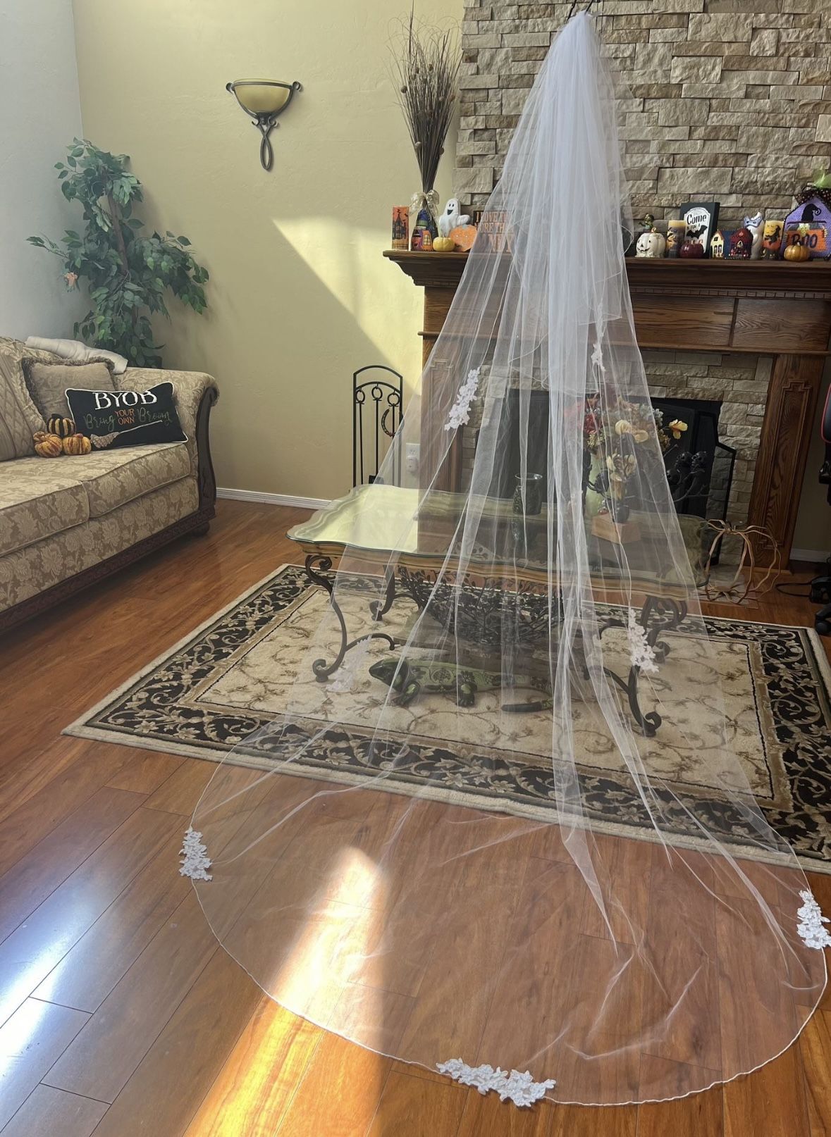 Cathedral Length Wedding Veil