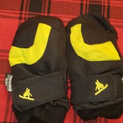 Snow Gloves