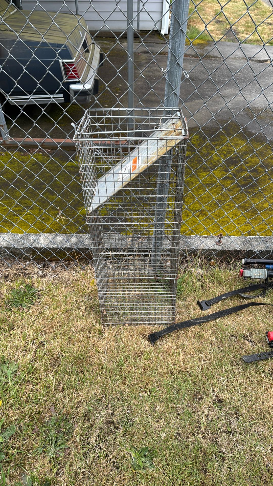 Critter Trap