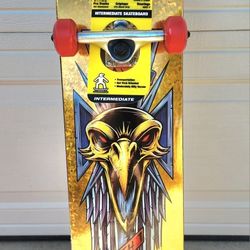 TONY HAWK SKATEBOARD 