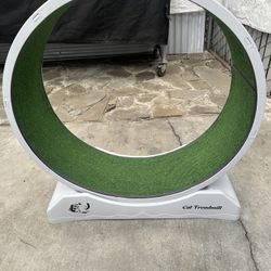 Cat Treadmill
