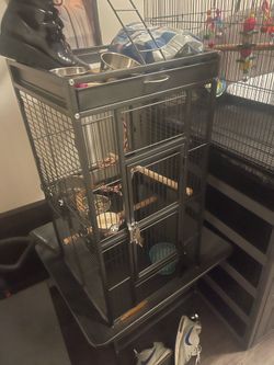Bird cage