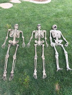 5ft tall skeleton