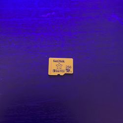 Nintendo Micro Sd Card 256GB