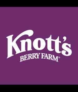 4  digital Knotts berry farm tickets expire 12/2026