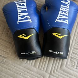 Everlast Elite Boxing Gloves