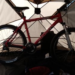 Giant Iguana 21 Inch Frame Deyore Equipped Great Great Bike