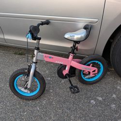 Royalbaby Fat Tire Kids Bike With Training Wheels