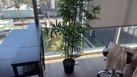 IKEA artificial  plant
