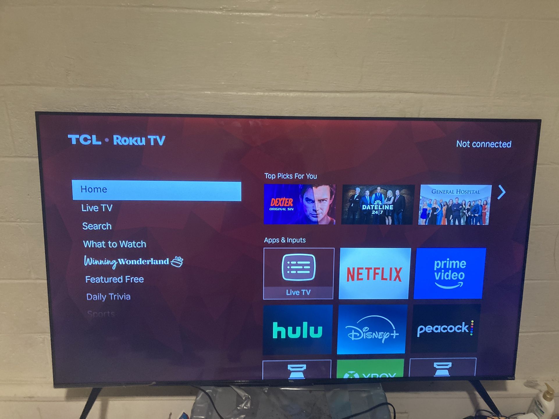65 Inch TCL Roku Tv