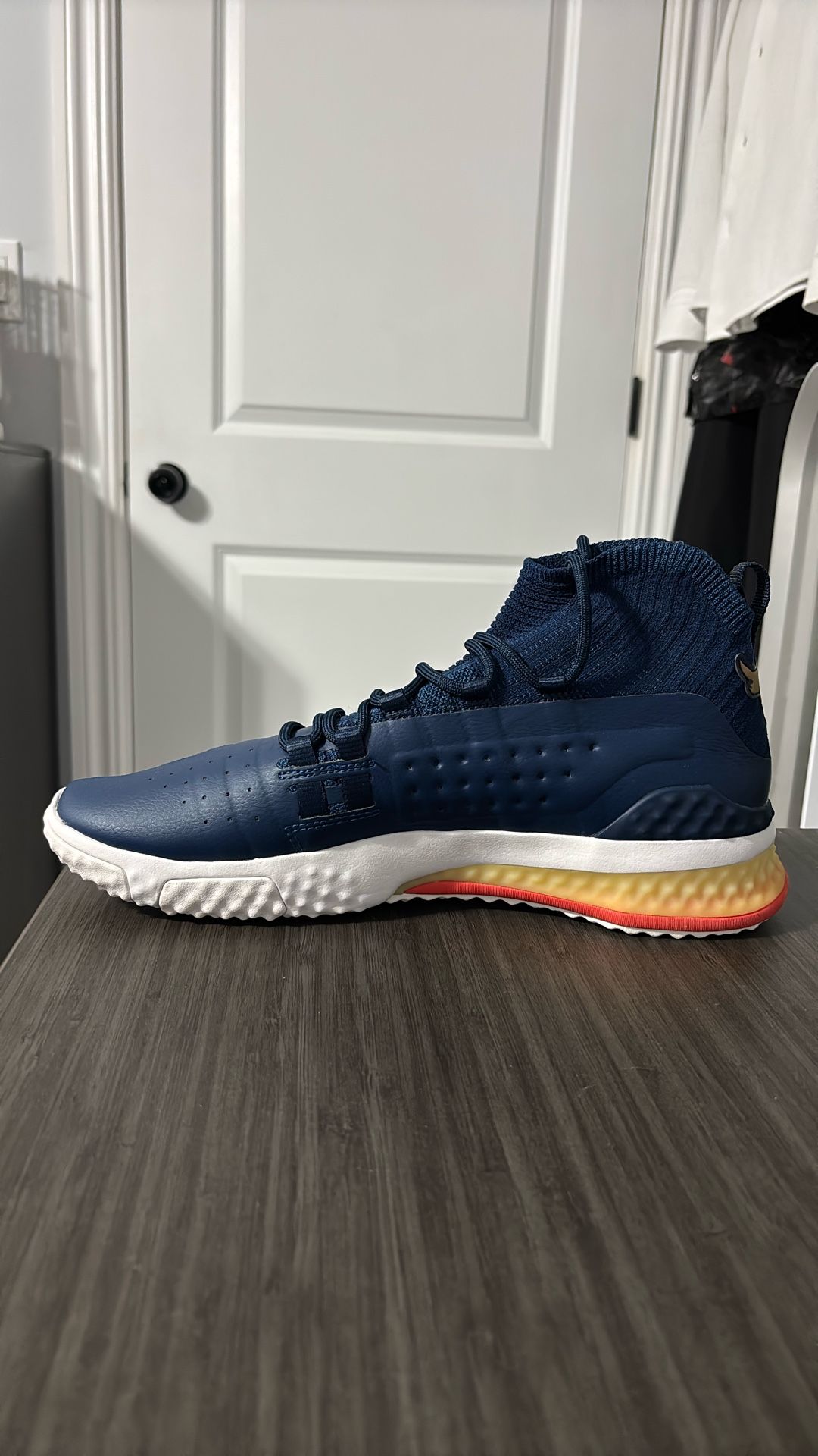 Under Armour Project Rock 1