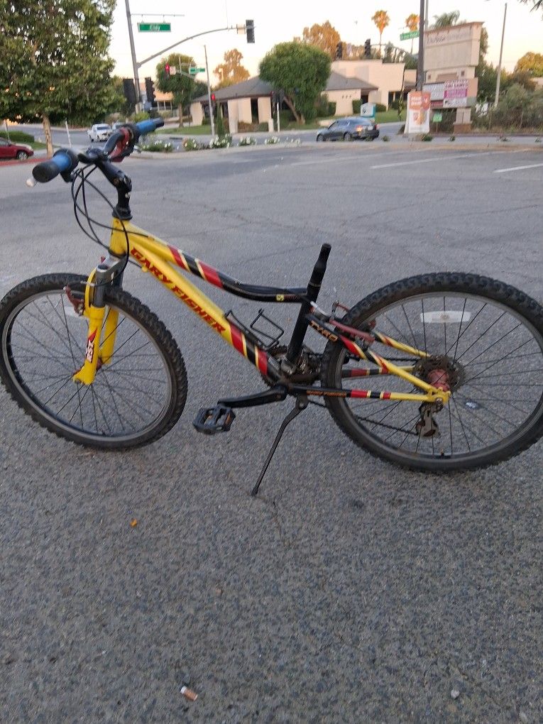 Gary Fisher Pro Bike ,original Paint Original All Original