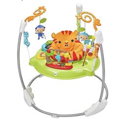 Brand New  Fisher Price Baby Jumperoo