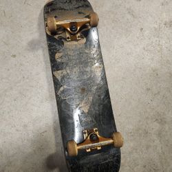 Basic Skateboard
