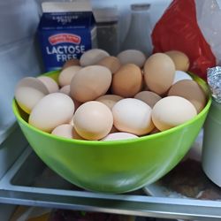 Eggs For Sale