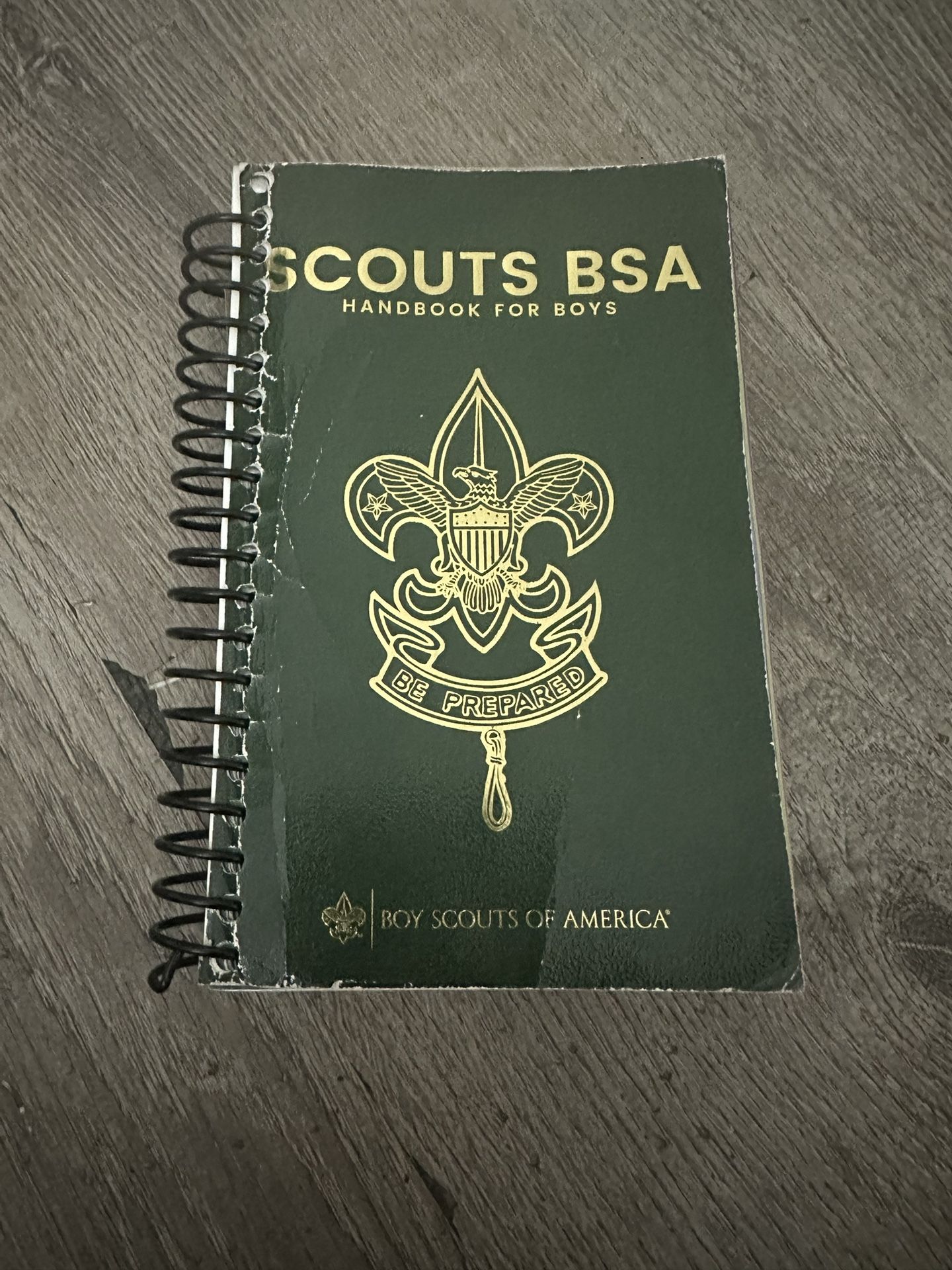Scout Handbook with Some Badges