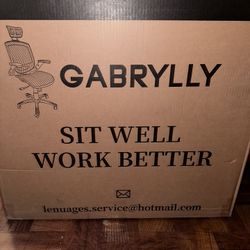 Gaming/Office Chair