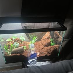 10 Gallon Tank With Lid 