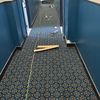 Carpet Pro