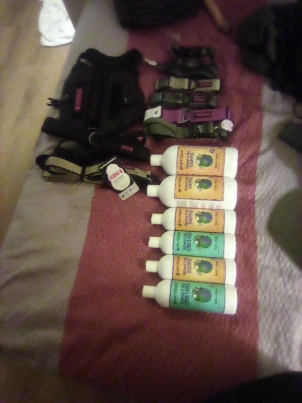 Kong Leashes, Harness And Earth bath Flea And Tick Shampoo And Conditioner