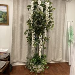 Tall Green Tree