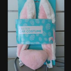 Easter Bunny 🐰 Car Decoration.!!