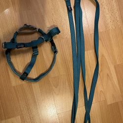 2 Hounds Martingale No-Pull Harness & Leash Set - Teal