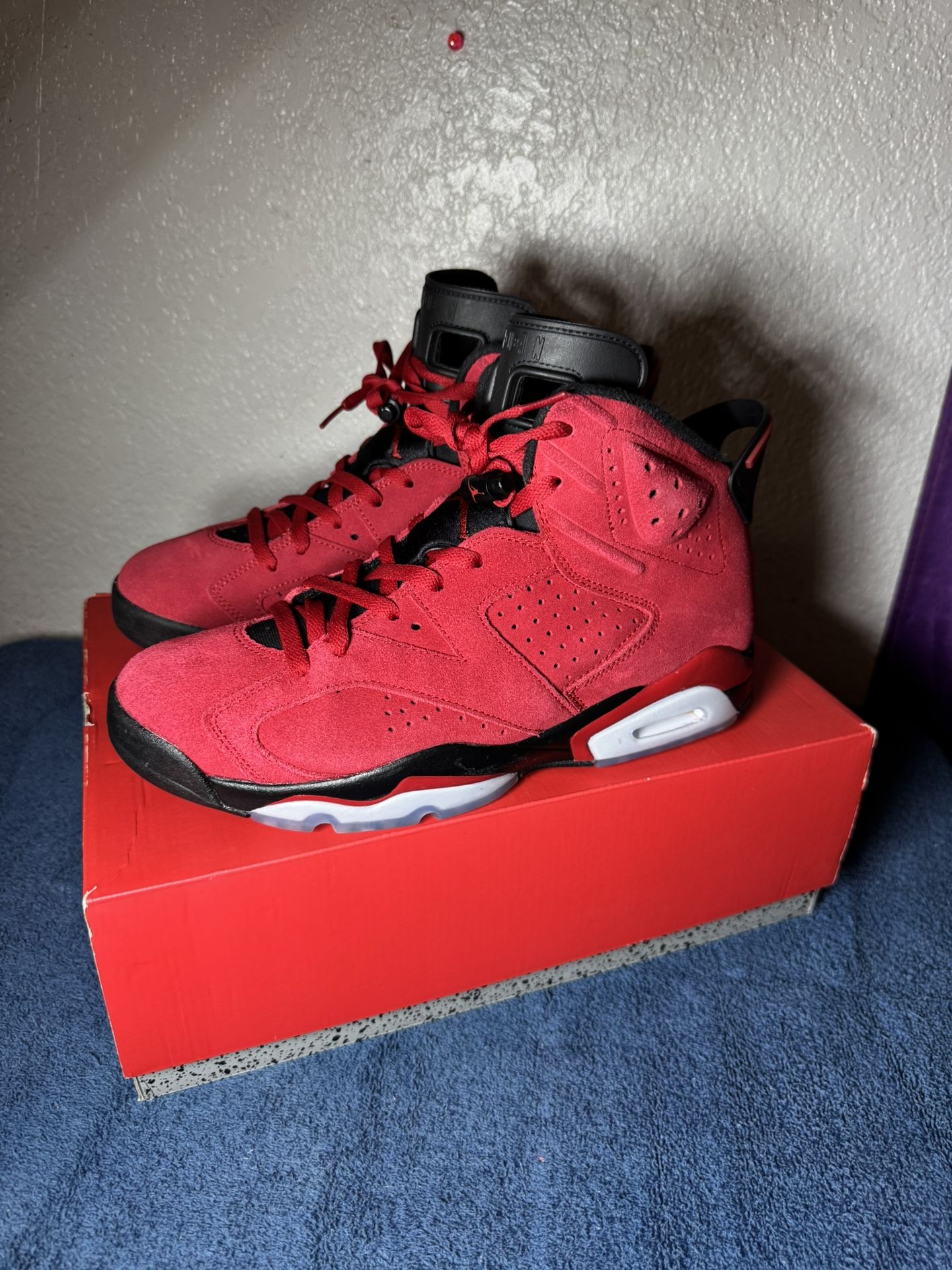 JORDAN 6 Toros