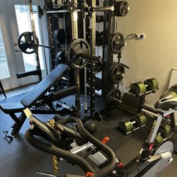 All-In-One Trainer