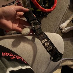 Large Collar With Light