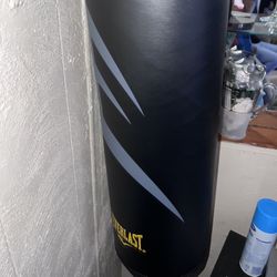 Everlast Training Cardio Bag 