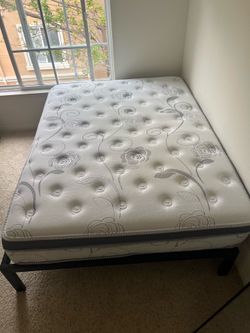 13 in Queen mattress