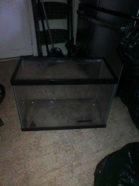 Fish Tank 