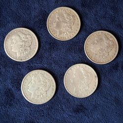 5 Morgan Dollars