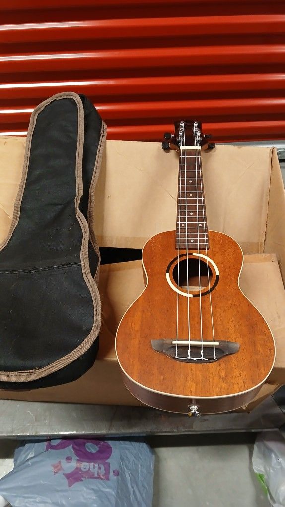 Hawaiian Guitar.