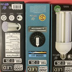 Light Bulbs 