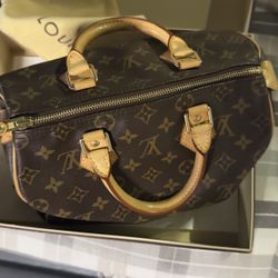 Louis Vuitton Speedy Bag 