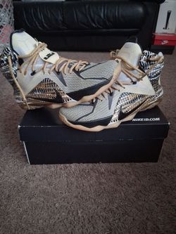 Custom Lebron's- Sz 10.5