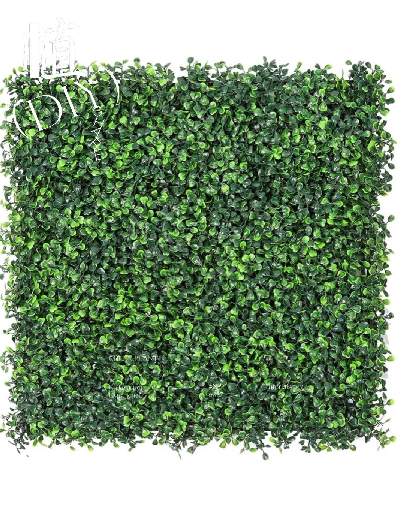 Artificial  Wall Boxwood Panels, Privacy Hedge for Outdoor, Indoor and Decor 