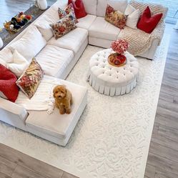 Sofa (with Warrenty) Mathis Brothers 