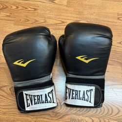 Everlast Boxing Gloves