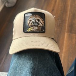 Animal Hat 