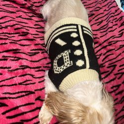 dog shirt, size small